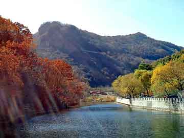 婚礼布景