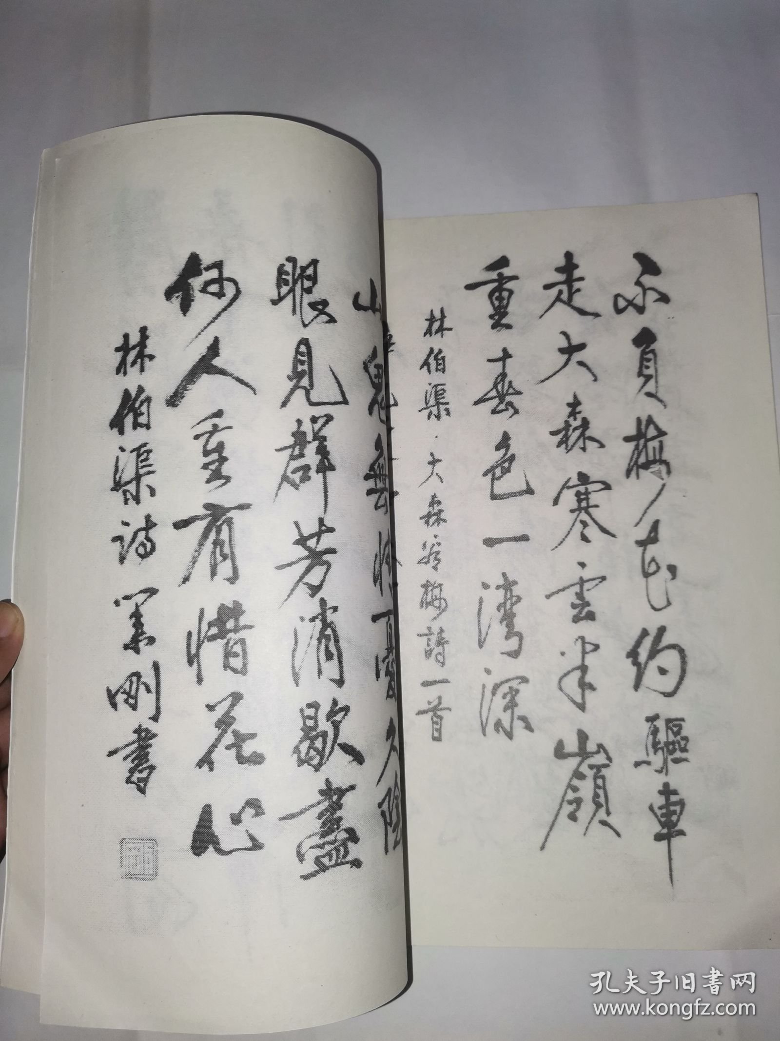 最新诗词签名大全，诗意盎然，个性闪耀的诗意签名汇总