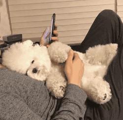 深度解析，爱5最新评分究竟如何？